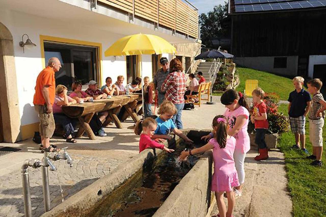 Exenbacher Hof Traumbauernhaus S'Haisl Arnbruck Exterior foto